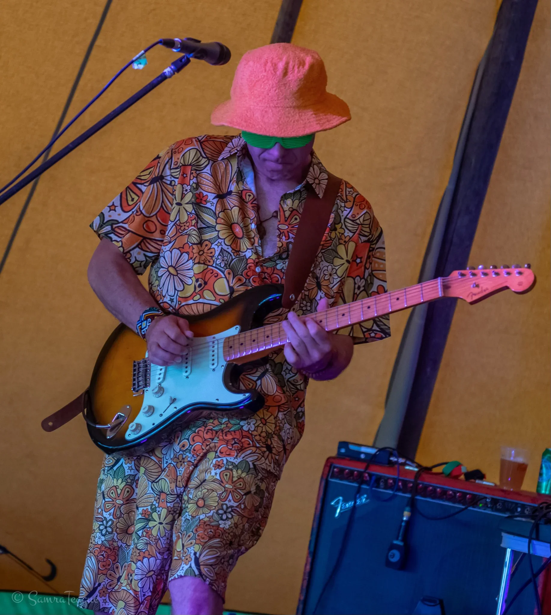 Dougstock 5